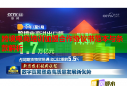 跨境電商培訓(xùn)加盟合作協(xié)議書范本與條款解析