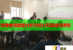 跨境電商數(shù)據(jù)分析與統(tǒng)計實戰(zhàn)培訓(xùn)課程