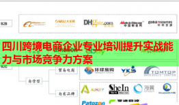 四川跨境電商企業(yè)專(zhuān)業(yè)培訓(xùn)提升實(shí)戰(zhàn)能力與市場(chǎng)競(jìng)爭(zhēng)力方案