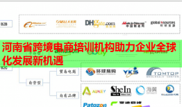 河南省跨境電商培訓機構(gòu)助力企業(yè)全球化發(fā)展新機遇