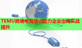 TEMU跨境電商培訓(xùn)助力企業(yè)出海實戰(zhàn)提升