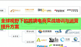 全球視野下的跨境電商實戰(zhàn)培訓(xùn)與運營提升方案