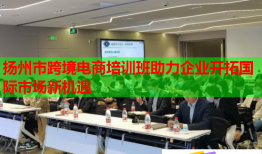 揚(yáng)州市跨境電商培訓(xùn)班助力企業(yè)開拓國(guó)際市場(chǎng)新機(jī)遇