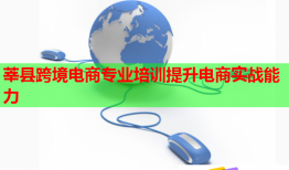 莘縣跨境電商專業(yè)培訓提升電商實戰(zhàn)能力