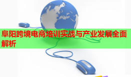 阜陽跨境電商培訓實戰(zhàn)與產(chǎn)業(yè)發(fā)展全面解析