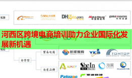 河西區(qū)跨境電商培訓助力企業(yè)國際化發(fā)展新機遇