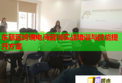 東麗區(qū)跨境電商營銷實戰(zhàn)培訓(xùn)與技能提升方案