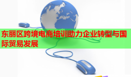 東麗區(qū)跨境電商培訓助力企業(yè)轉(zhuǎn)型與國際貿(mào)易發(fā)展