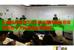 權(quán)威機構(gòu)發(fā)布2024年中國跨境電商培訓(xùn)學(xué)校十大排名榜深度解析