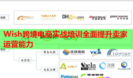 Wish跨境電商實(shí)戰(zhàn)培訓(xùn)全面提升賣家運(yùn)營能力