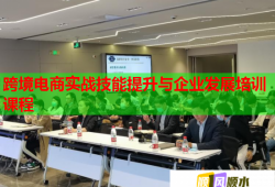 跨境電商實戰(zhàn)技能提升與企業(yè)發(fā)展培訓(xùn)課程
