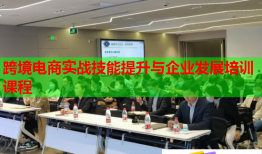 跨境電商實戰(zhàn)技能提升與企業(yè)發(fā)展培訓(xùn)課程