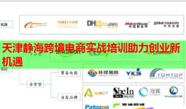 天津靜海跨境電商實(shí)戰(zhàn)培訓(xùn)助力創(chuàng)業(yè)新機(jī)遇