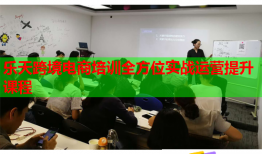 樂天跨境電商培訓(xùn)全方位實(shí)戰(zhàn)運(yùn)營(yíng)提升課程