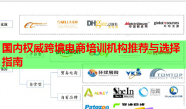 國內(nèi)權(quán)威跨境電商培訓(xùn)機構(gòu)推薦與選擇指南