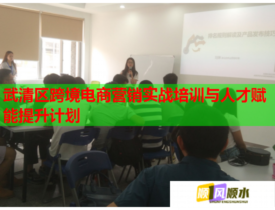 武清區(qū)跨境電商營(yíng)銷實(shí)戰(zhàn)培訓(xùn)與人才賦能提升計(jì)劃