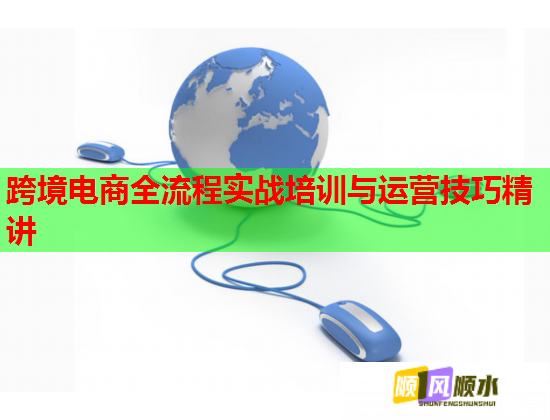 跨境電商全流程實戰(zhàn)培訓與運營技巧精講