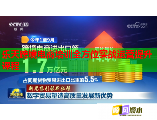 樂天跨境電商培訓(xùn)全方位實戰(zhàn)運(yùn)營提升課程