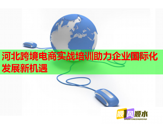 河北跨境電商實(shí)戰(zhàn)培訓(xùn)助力企業(yè)國(guó)際化發(fā)展新機(jī)遇
