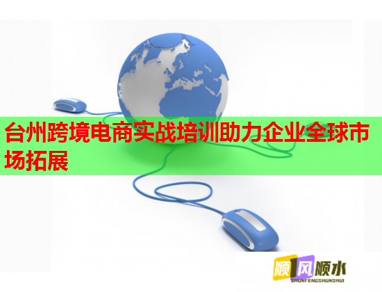 臺州跨境電商實戰(zhàn)培訓(xùn)助力企業(yè)全球市場拓展