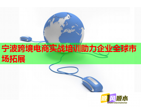 寧波跨境電商實戰(zhàn)培訓(xùn)助力企業(yè)全球市場拓展