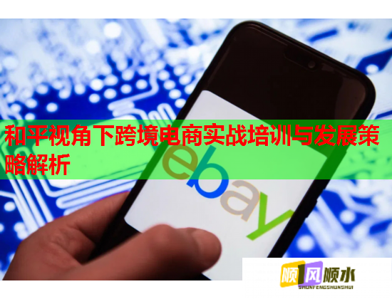 和平視角下跨境電商實(shí)戰(zhàn)培訓(xùn)與發(fā)展策略解析