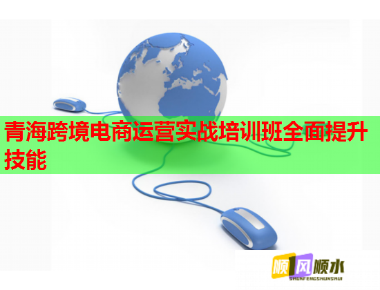 青?？缇畴娚踢\(yùn)營(yíng)實(shí)戰(zhàn)培訓(xùn)班全面提升技能