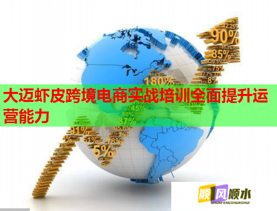 大邁蝦皮跨境電商實(shí)戰(zhàn)培訓(xùn)全面提升運(yùn)營能力