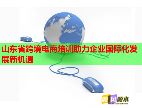 山東省跨境電商培訓(xùn)助力企業(yè)國(guó)際化發(fā)展新機(jī)遇