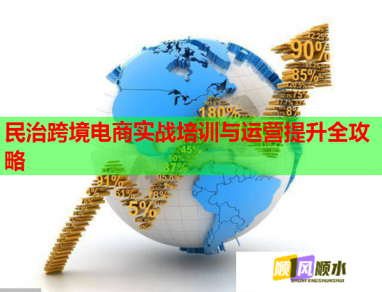 民治跨境電商實戰(zhàn)培訓與運營提升全攻略