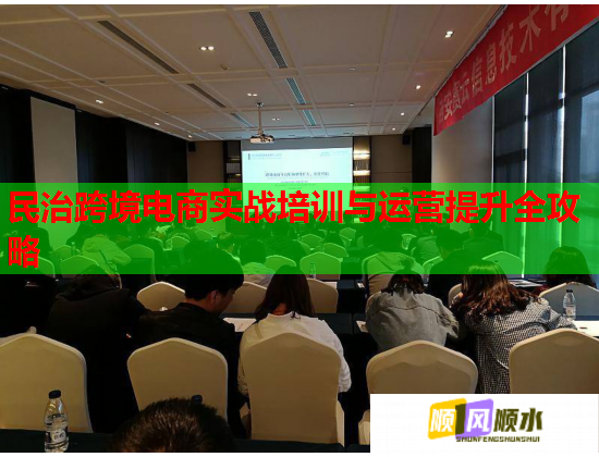 民治跨境電商實戰(zhàn)培訓與運營提升全攻略
