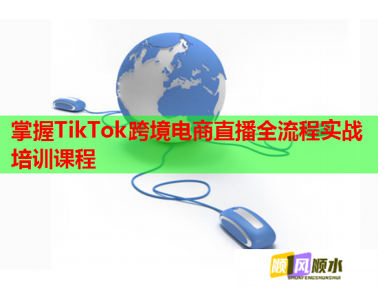 掌握TikTok跨境電商直播全流程實戰(zhàn)培訓(xùn)課程