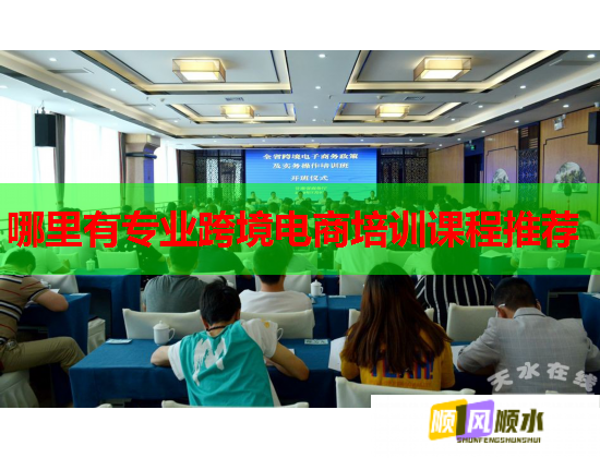 哪里有專業(yè)跨境電商培訓(xùn)課程推薦