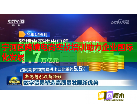 寧河區(qū)跨境電商實(shí)戰(zhàn)培訓(xùn)助力企業(yè)國際化發(fā)展