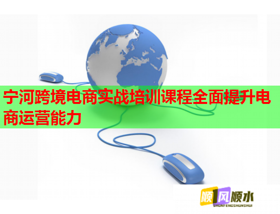 寧河跨境電商實戰(zhàn)培訓課程全面提升電商運營能力