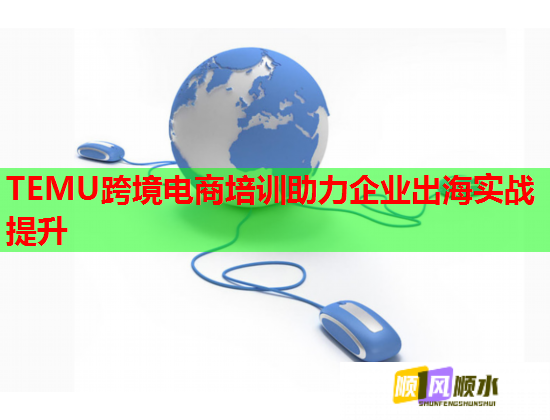 TEMU跨境電商培訓(xùn)助力企業(yè)出海實戰(zhàn)提升