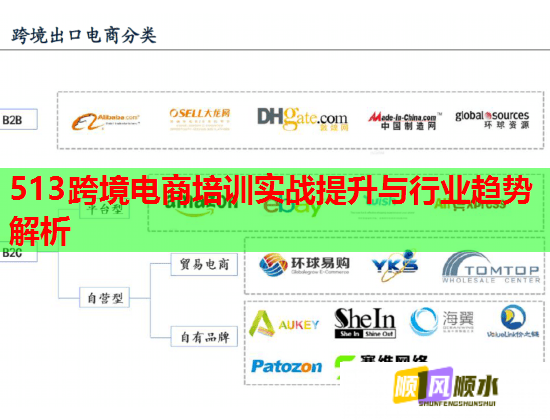 513跨境電商培訓(xùn)實戰(zhàn)提升與行業(yè)趨勢解析