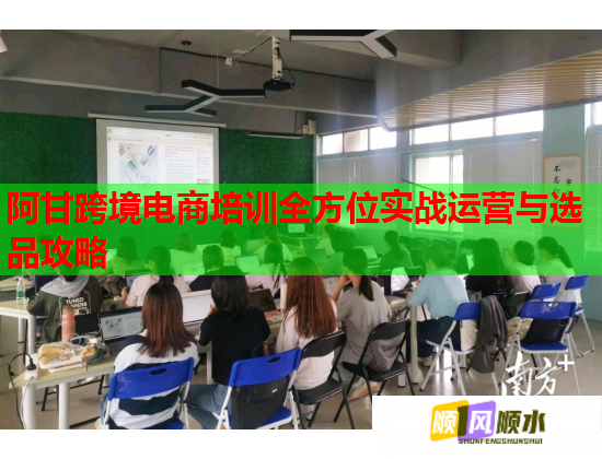 阿甘跨境電商培訓全方位實戰(zhàn)運營與選品攻略