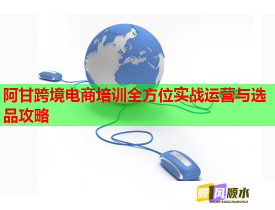 阿甘跨境電商培訓全方位實戰(zhàn)運營與選品攻略