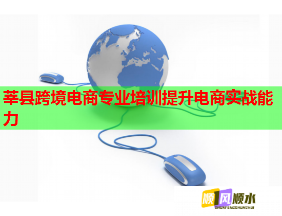 莘縣跨境電商專業(yè)培訓(xùn)提升電商實戰(zhàn)能力
