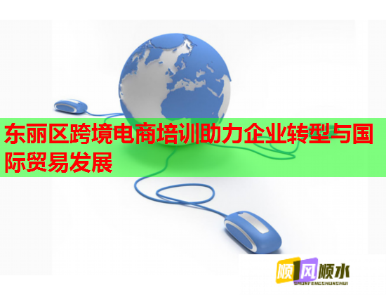 東麗區(qū)跨境電商培訓助力企業(yè)轉型與國際貿易發(fā)展