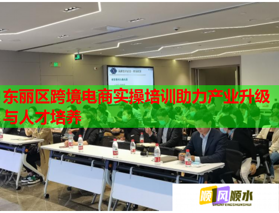 東麗區(qū)跨境電商實(shí)操培訓(xùn)助力產(chǎn)業(yè)升級與人才培養(yǎng)