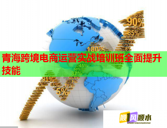 青海跨境電商運(yùn)營實(shí)戰(zhàn)培訓(xùn)班全面提升技能